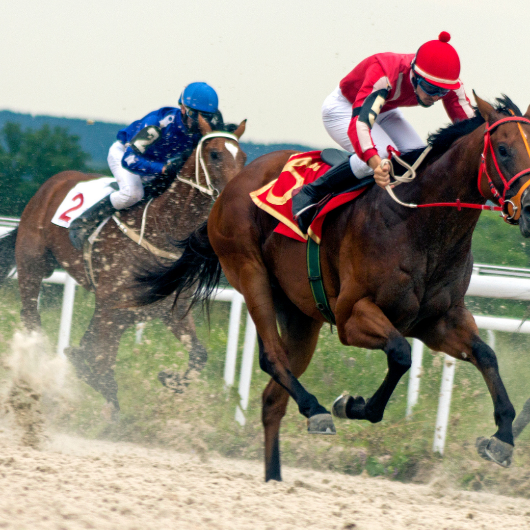 Why Do We Love Horse Racing? A Community Of The Horse